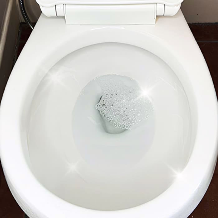 Schritt 3: Strahlend saubere Toilette nach FizzClean